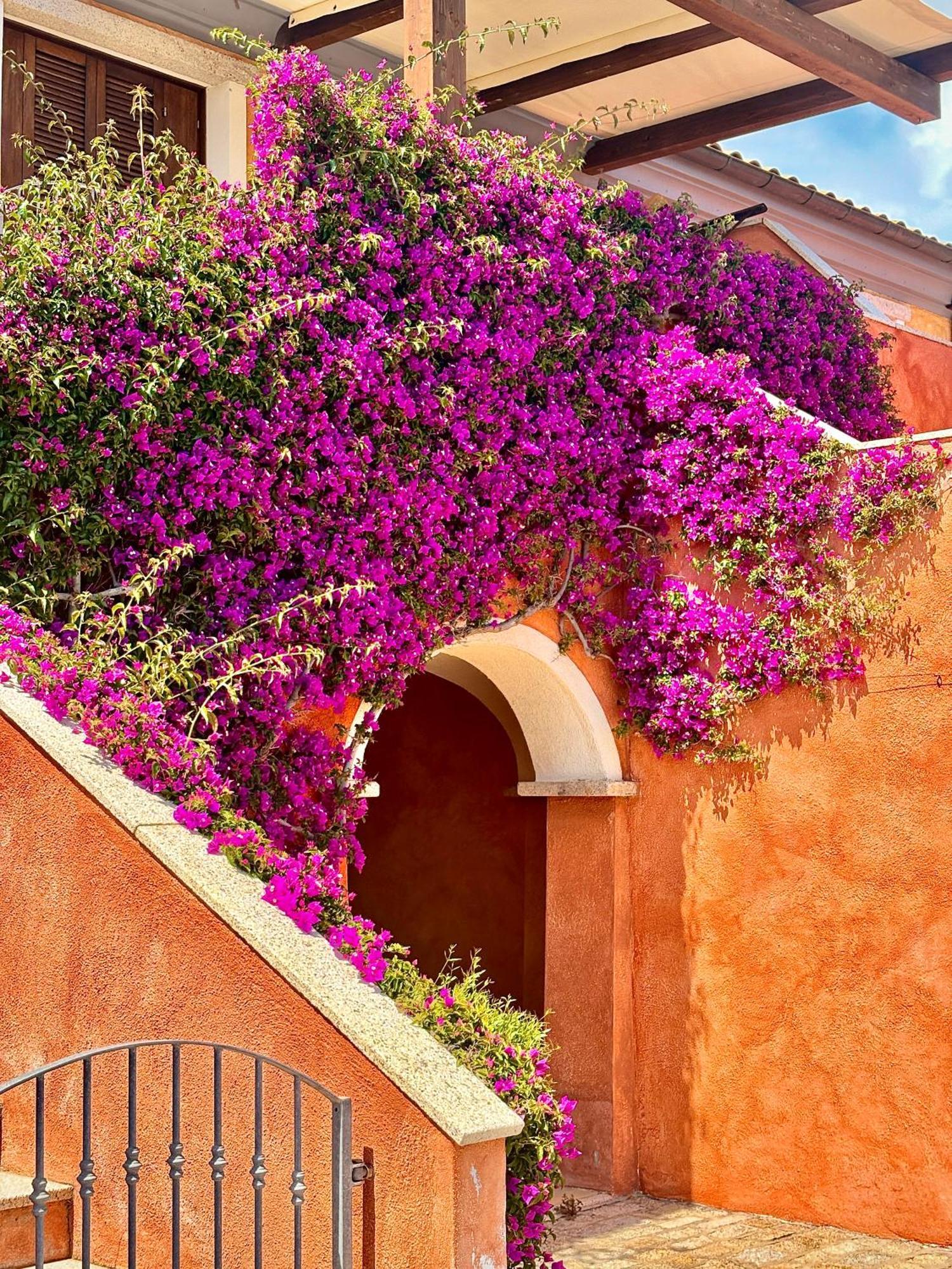 Residence Borgo Punta Villa Ла-Маддалена Екстер'єр фото